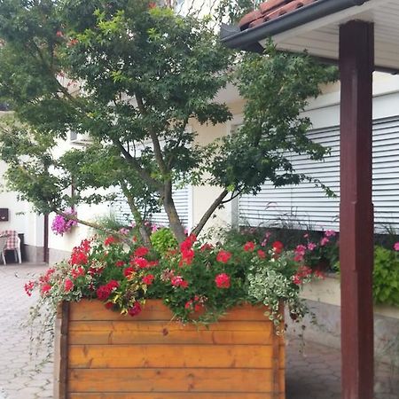 Darja Guesthouse Dob Bagian luar foto