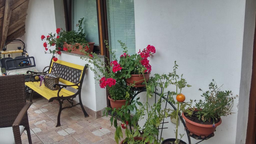 Darja Guesthouse Dob Bagian luar foto