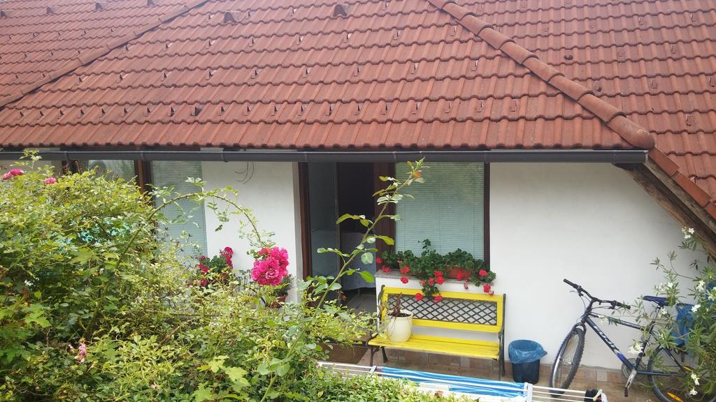 Darja Guesthouse Dob Bagian luar foto