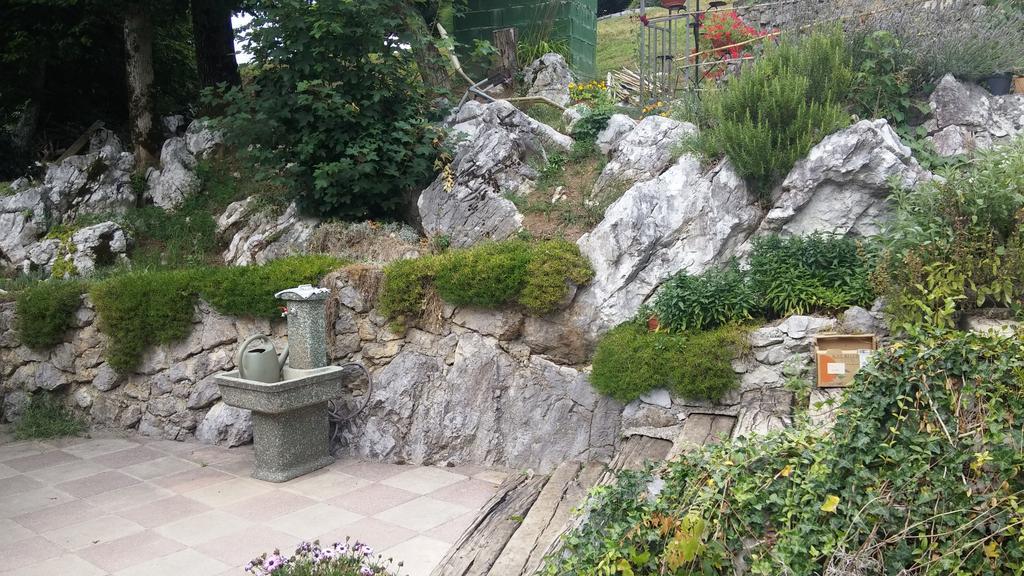 Darja Guesthouse Dob Bagian luar foto