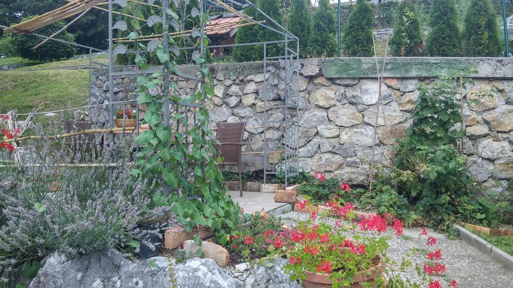 Darja Guesthouse Dob Bagian luar foto